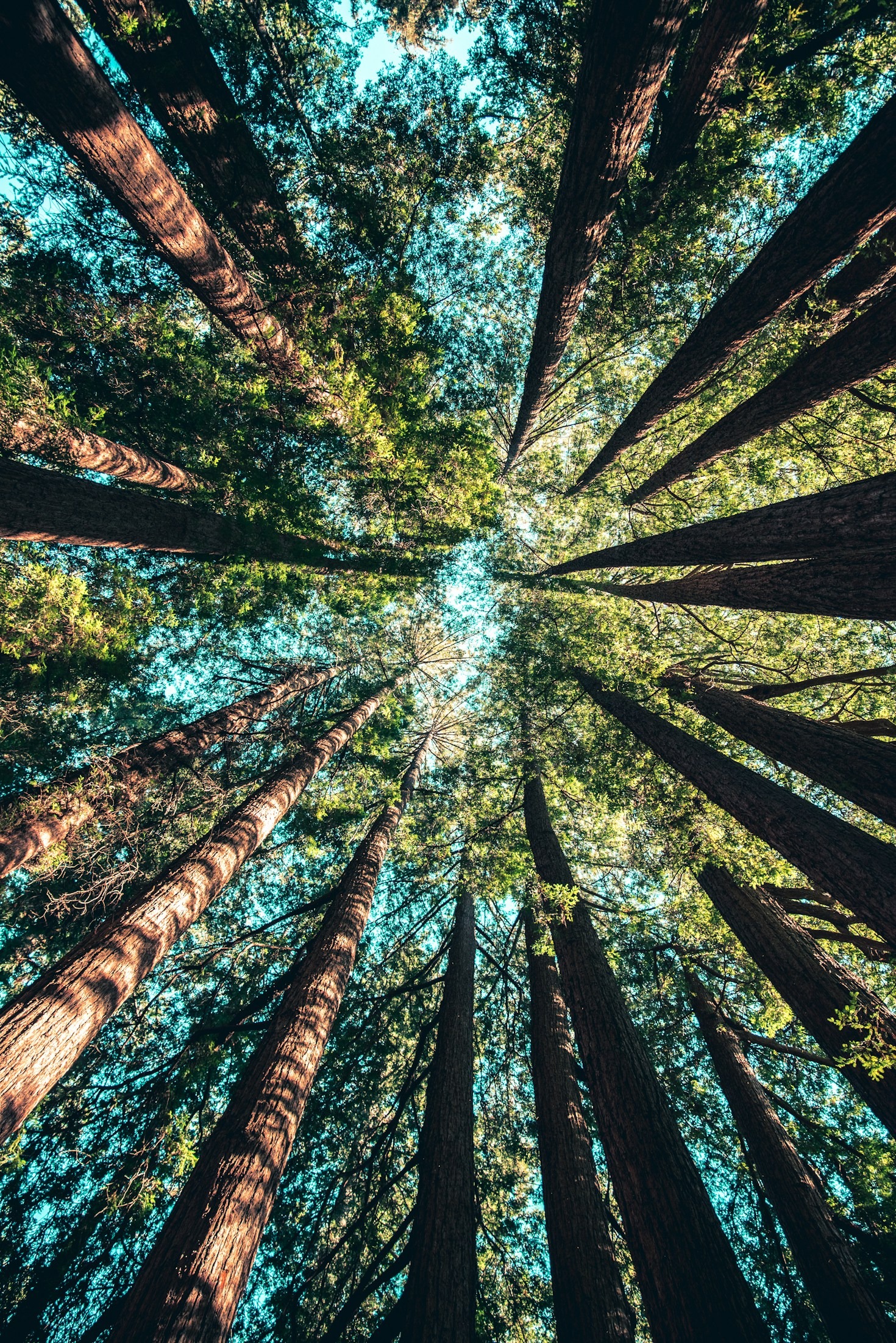 O Papel da Sustentabilidade na Economia Moderna