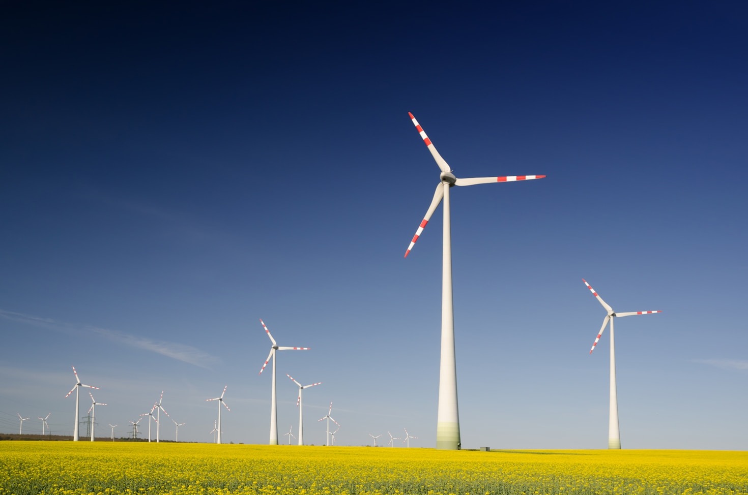 Por Que a Sustentabilidade Importa Mais do Que Nunca
